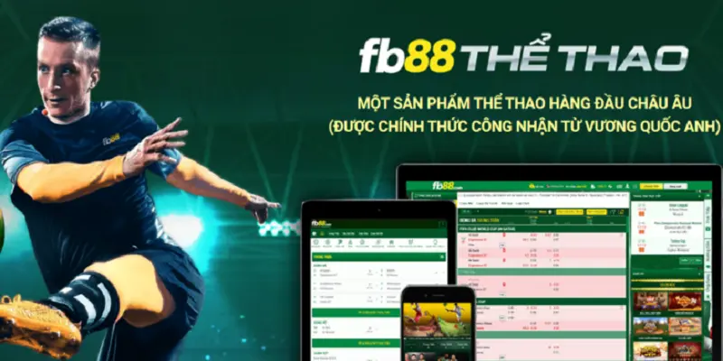 Nhận khuyến mãi khi cá cược thể thao