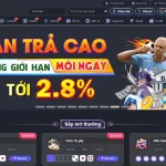 Top 5 nhà cái hoàn trả cao nhất